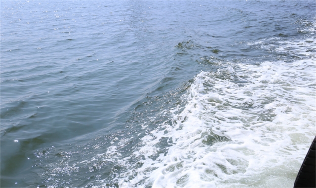 深圳海葬纪念音乐播放