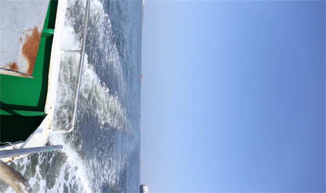 深圳民政海葬真实办理经验分享