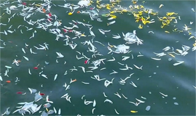 深圳海葬服务质量标准