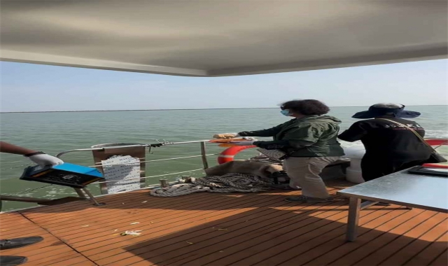 深圳海葬预约官方通知