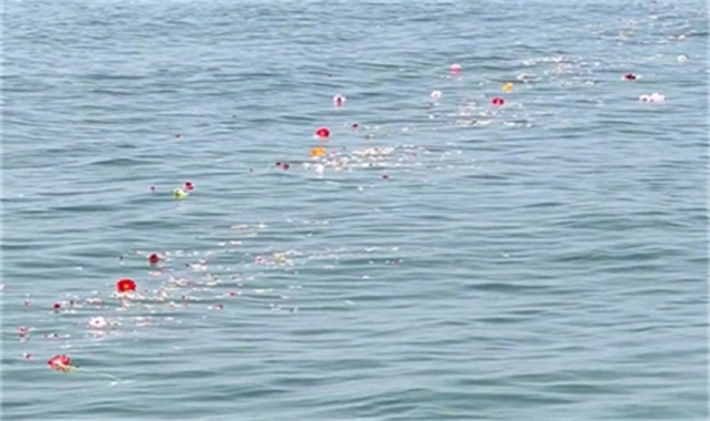 深圳海葬政策常见问题汇总