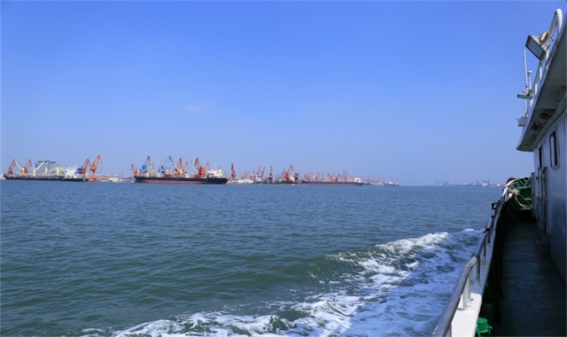 深圳免费海葬真实办理经验分享