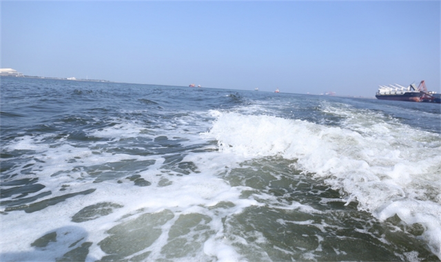 深圳海葬活动真实办理经验分享