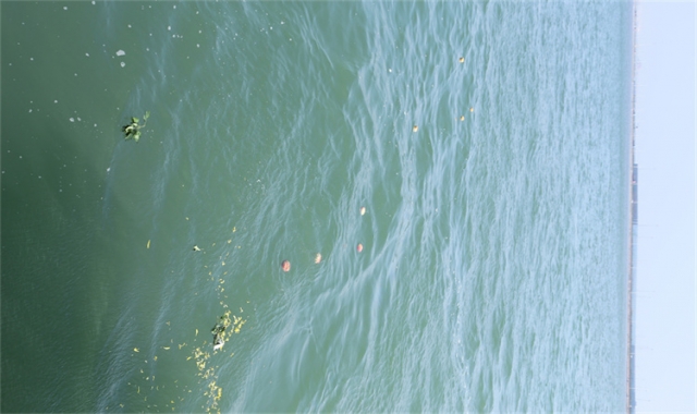 深圳民政海葬官方最新政策解读