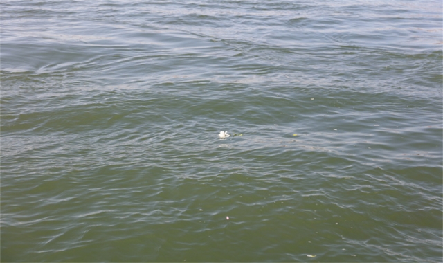 深圳市海葬费补贴多钱