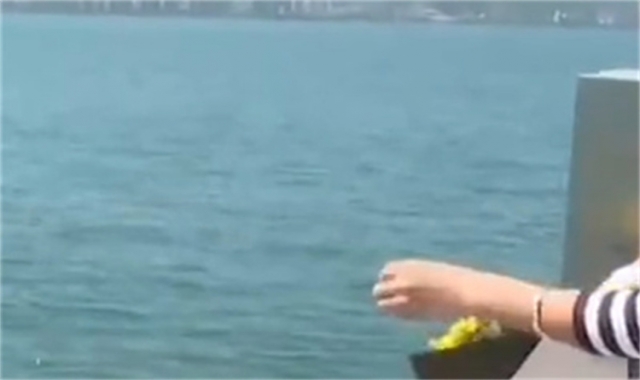 深圳免费海葬真实办理经验分享