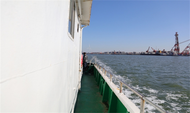 深圳海葬真实办理经验分享