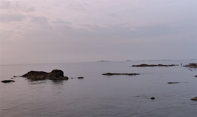 深圳市海葬免费预约