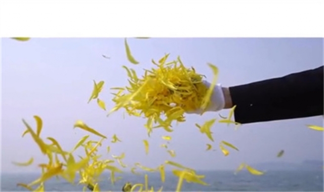 深圳海葬报名申请条件