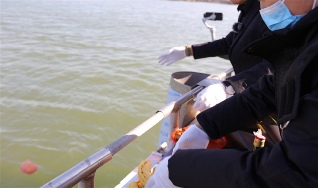 深圳海葬报名入口流程