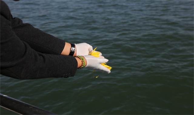 深圳集体海葬官方最新政策解读