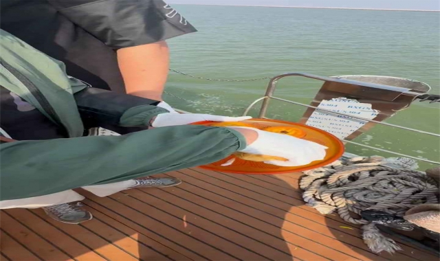 深圳市海葬报名