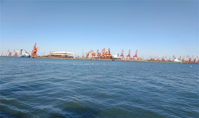 深圳市海葬预约到了哪年