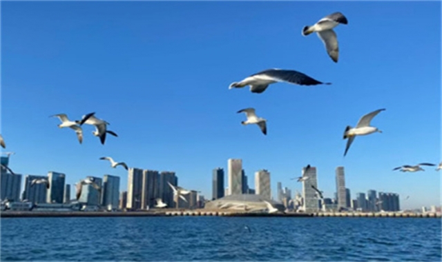 深圳海葬活动常见问题汇总