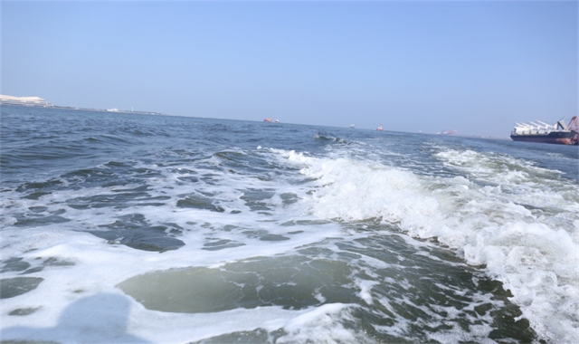 深圳市海葬手续怎么申请