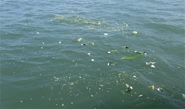 深圳殡仪馆海葬真实办理经验分享