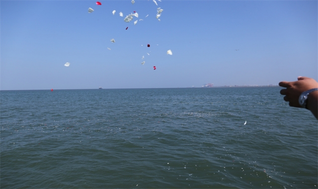 深圳市海葬有补贴么吗