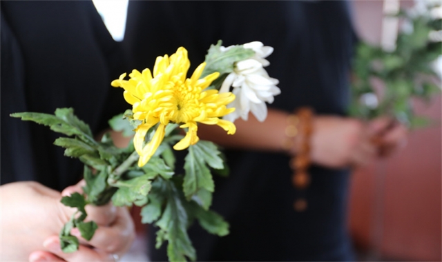 深圳市海葬费补贴标准