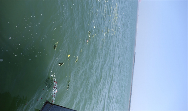 深圳市海葬去哪办理