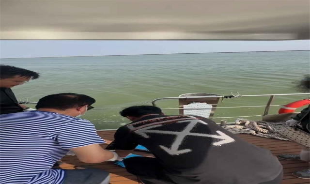 深圳海葬最新费用对比