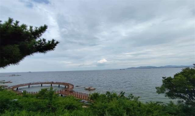 深圳环保海葬纪念方式