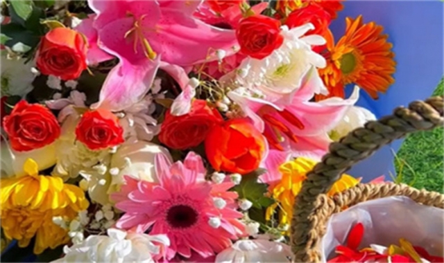 深圳海葬注意事项标准解读