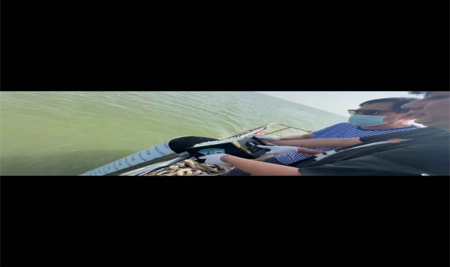 深圳集体海葬真实办理经验分享