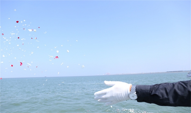 深圳市海葬预约价格