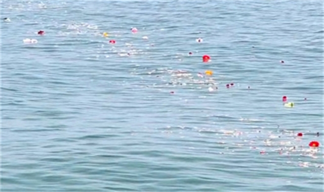 深圳殡仪馆海葬真实办理经验分享