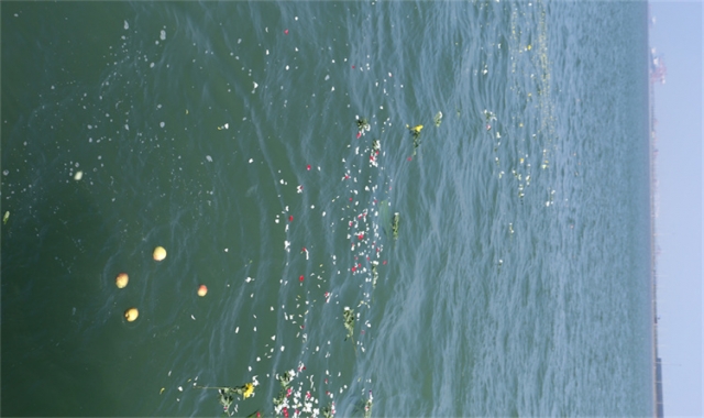 外地人可以来深圳海葬吗报名入口