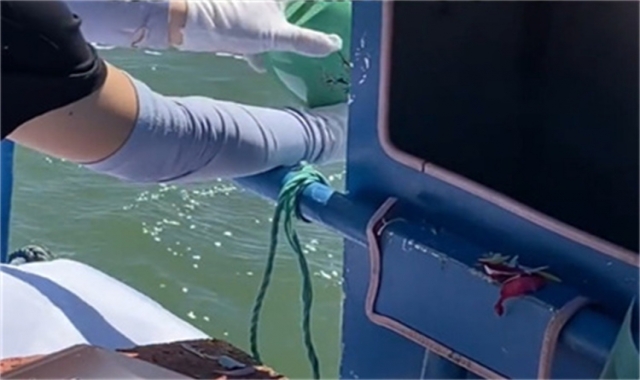 深圳骨灰海葬常见问题汇总