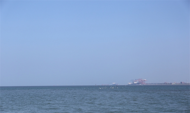 深圳市海葬证办理流程