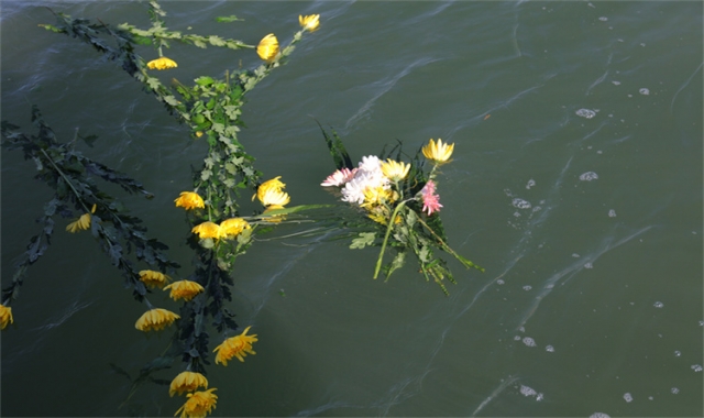 深圳集体海葬常见问题汇总