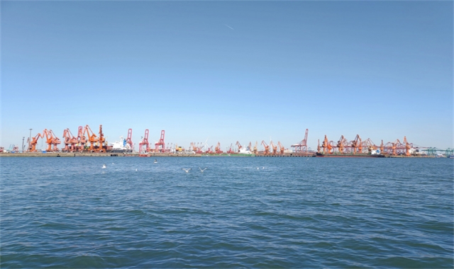 深圳海葬补贴真实办理经验分享