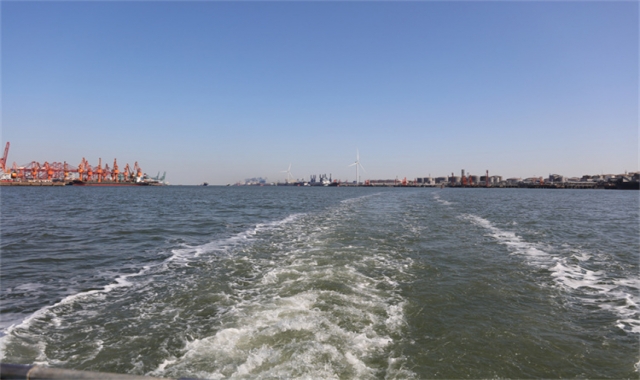 深圳市海葬补贴多久到账时间线