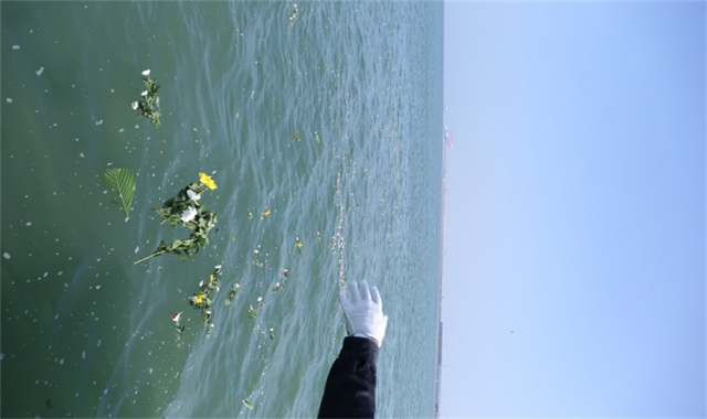 深圳海葬注意事项常见问题