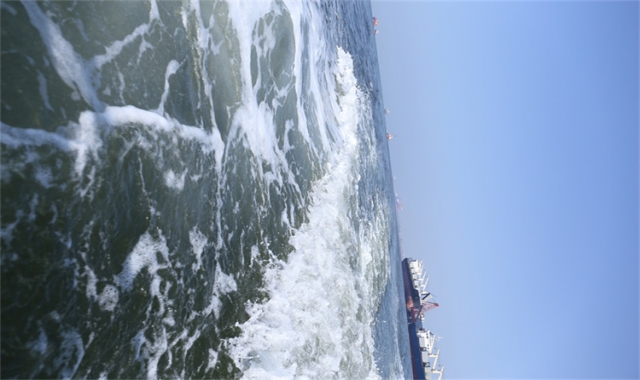 深圳免费海葬真实办理经验分享