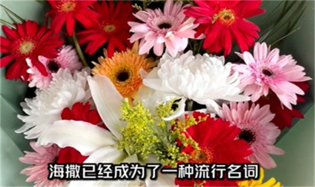 深圳市海葬申请材料