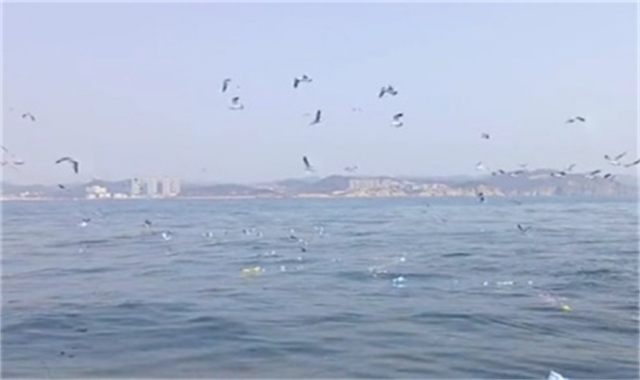 家属深圳海葬报名